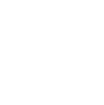 Practical solutions Icon